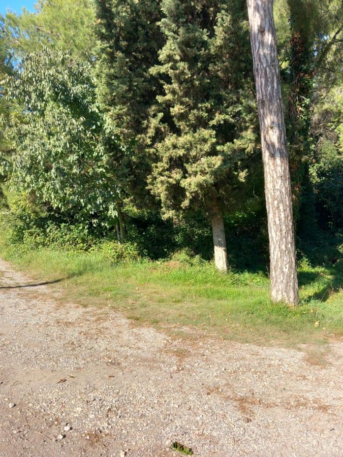 Apartmani Alma Póla Kültér fotó