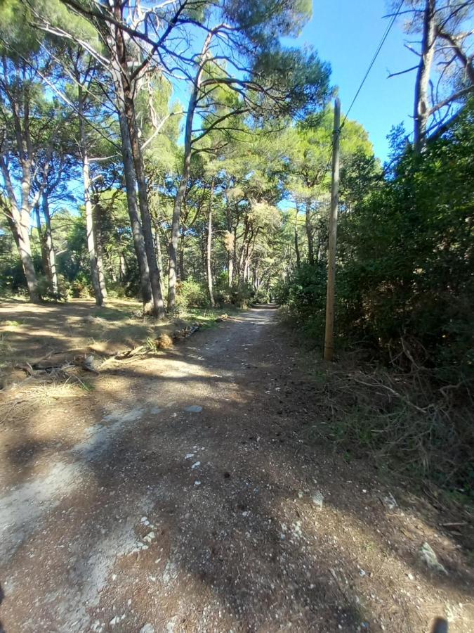Apartmani Alma Póla Kültér fotó