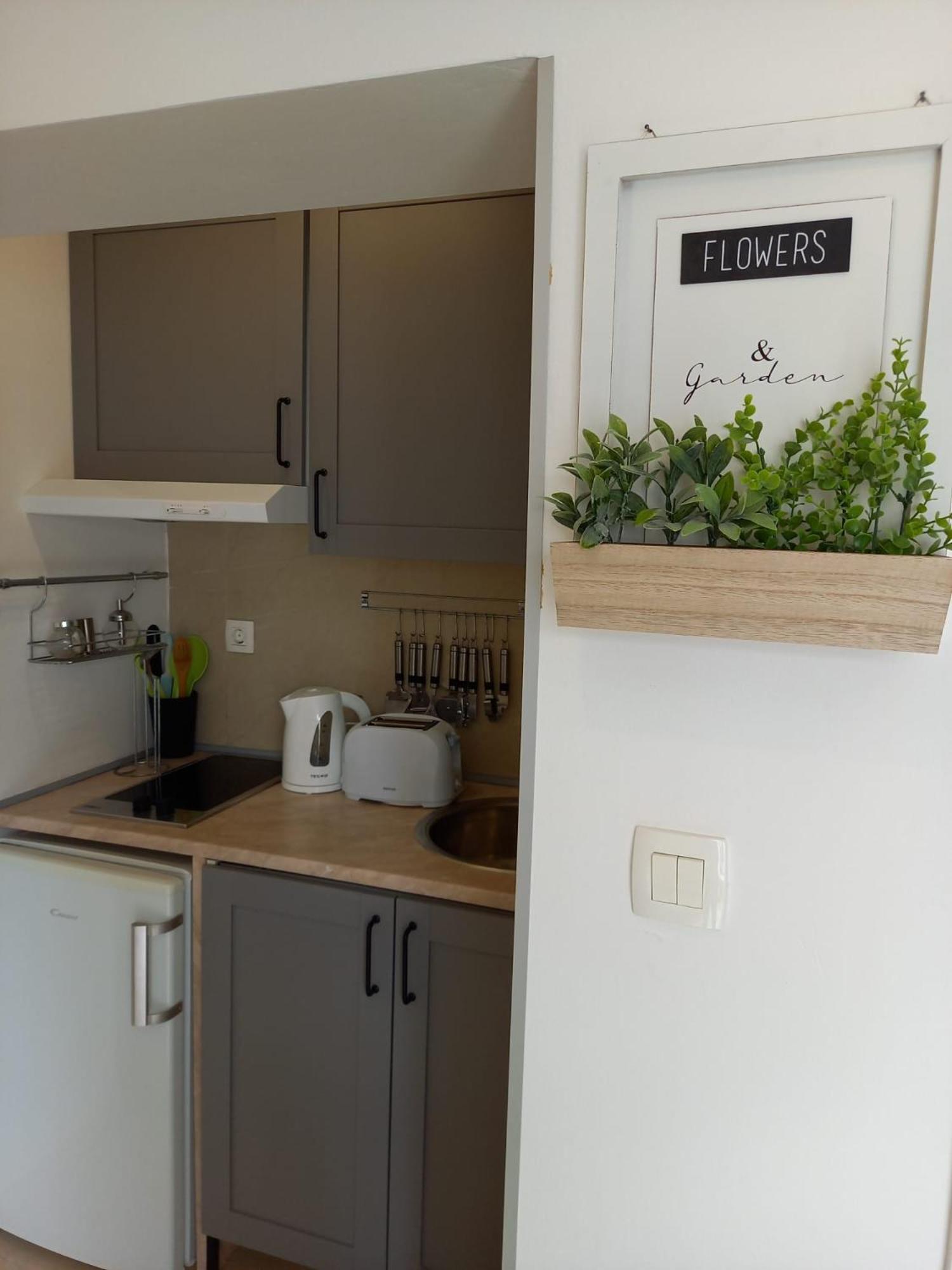 Apartmani Alma Póla Kültér fotó